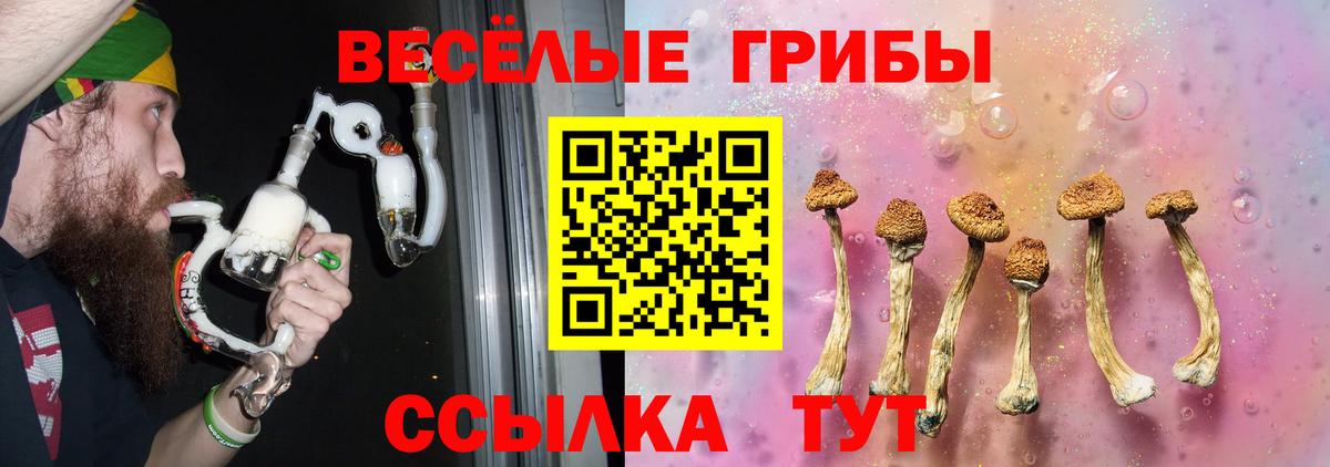 Галлюциногенные грибы мицелий Гусев